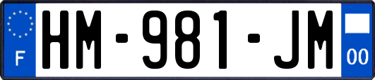 HM-981-JM