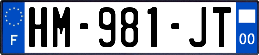 HM-981-JT