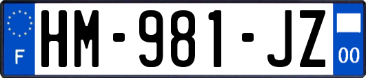 HM-981-JZ