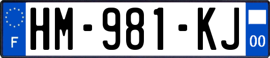 HM-981-KJ