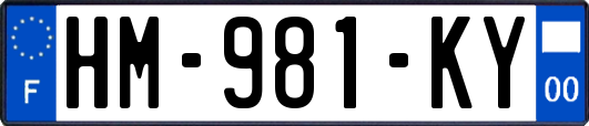 HM-981-KY