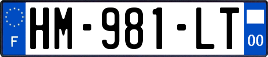 HM-981-LT
