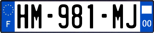 HM-981-MJ