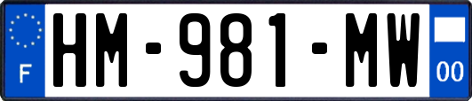 HM-981-MW