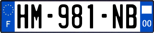 HM-981-NB