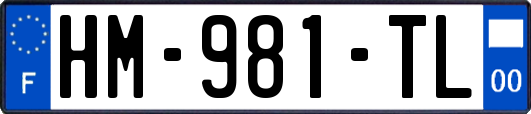HM-981-TL