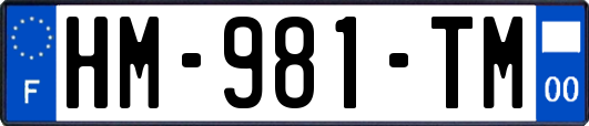 HM-981-TM