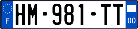 HM-981-TT