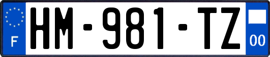 HM-981-TZ
