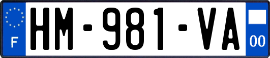 HM-981-VA