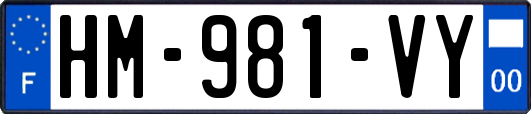 HM-981-VY