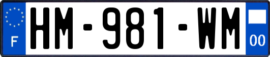 HM-981-WM
