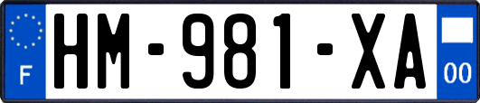 HM-981-XA