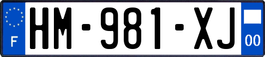HM-981-XJ