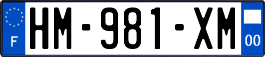 HM-981-XM