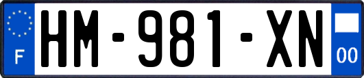 HM-981-XN
