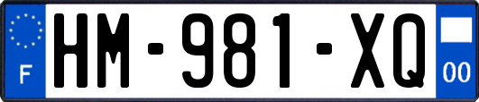 HM-981-XQ