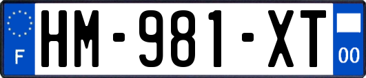HM-981-XT