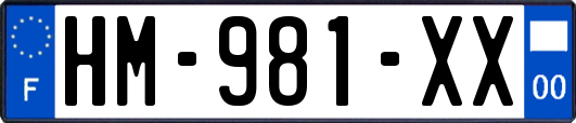 HM-981-XX