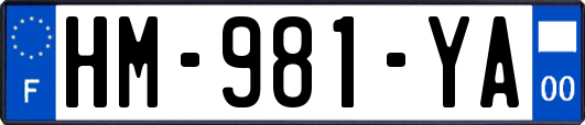 HM-981-YA