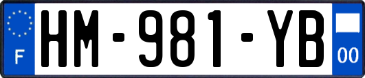 HM-981-YB