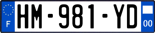 HM-981-YD