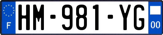 HM-981-YG