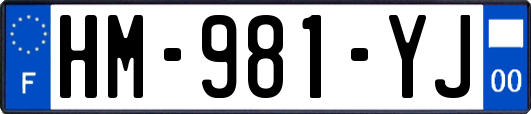 HM-981-YJ