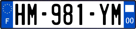 HM-981-YM