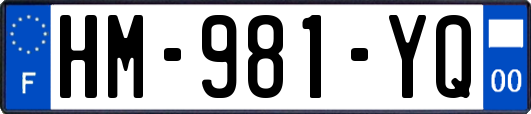 HM-981-YQ