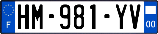 HM-981-YV