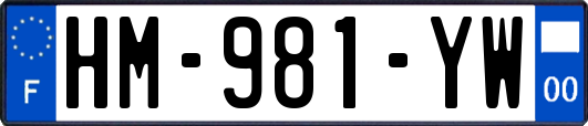 HM-981-YW