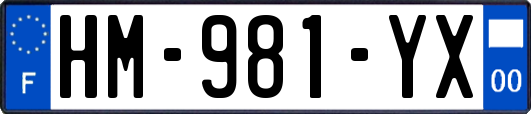 HM-981-YX