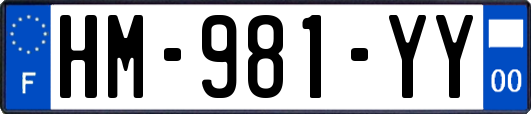 HM-981-YY