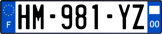 HM-981-YZ