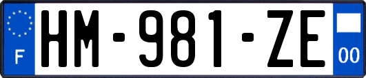 HM-981-ZE