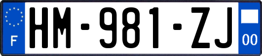 HM-981-ZJ