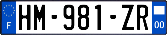 HM-981-ZR