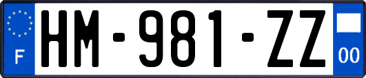 HM-981-ZZ