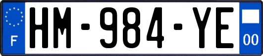 HM-984-YE