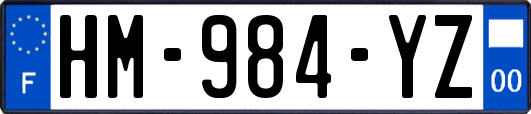 HM-984-YZ