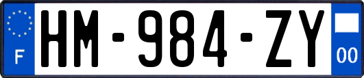 HM-984-ZY