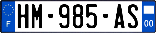 HM-985-AS