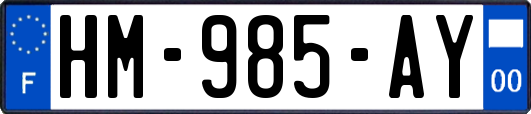 HM-985-AY