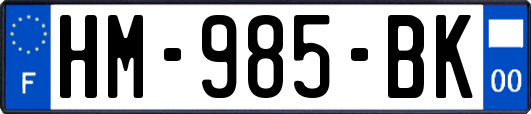 HM-985-BK