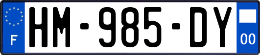 HM-985-DY