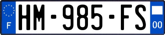 HM-985-FS