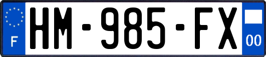 HM-985-FX