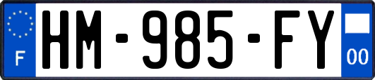 HM-985-FY