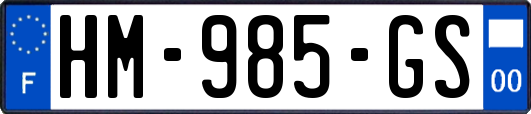 HM-985-GS